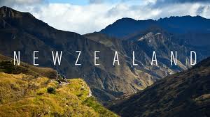 study in New Zealand consultants